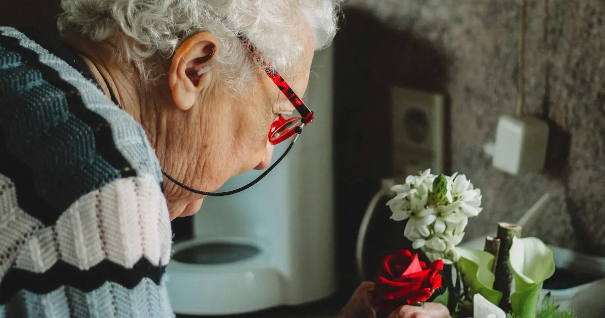 Senhora idosa arruma flores em um vaso